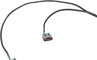 Wiring Specialties Wiring Gauge Detail - RB26DETT PRO Series Harness for BMW E30 - WRS-PRORB26-E30