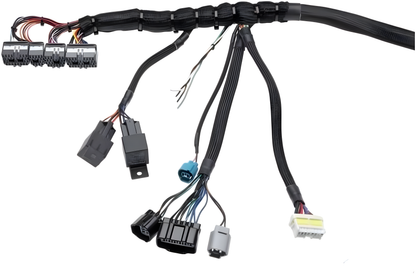 Wiring Specialties Wiring Gauge Detail - 1JZGTE PRO Series Harness for Nissan S13 200sx (LHD EURO) – WRS-PRO1JZ-200SX