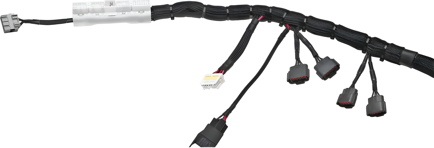 Wiring Specialties Wiring Gauge Detail - Q45 VH45DE PRO Series Harness for S14 240SX – WRS-PROVH45-S14