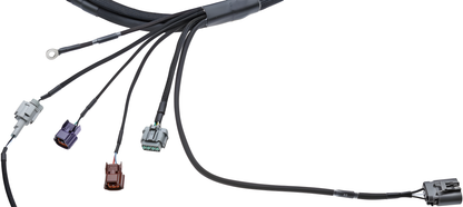 Wiring Specialties Wiring Gauge Detail - SR20DET PRO Series Harness for Z32 300ZX / Fairlady – WRS-PROS15SR20-Z32