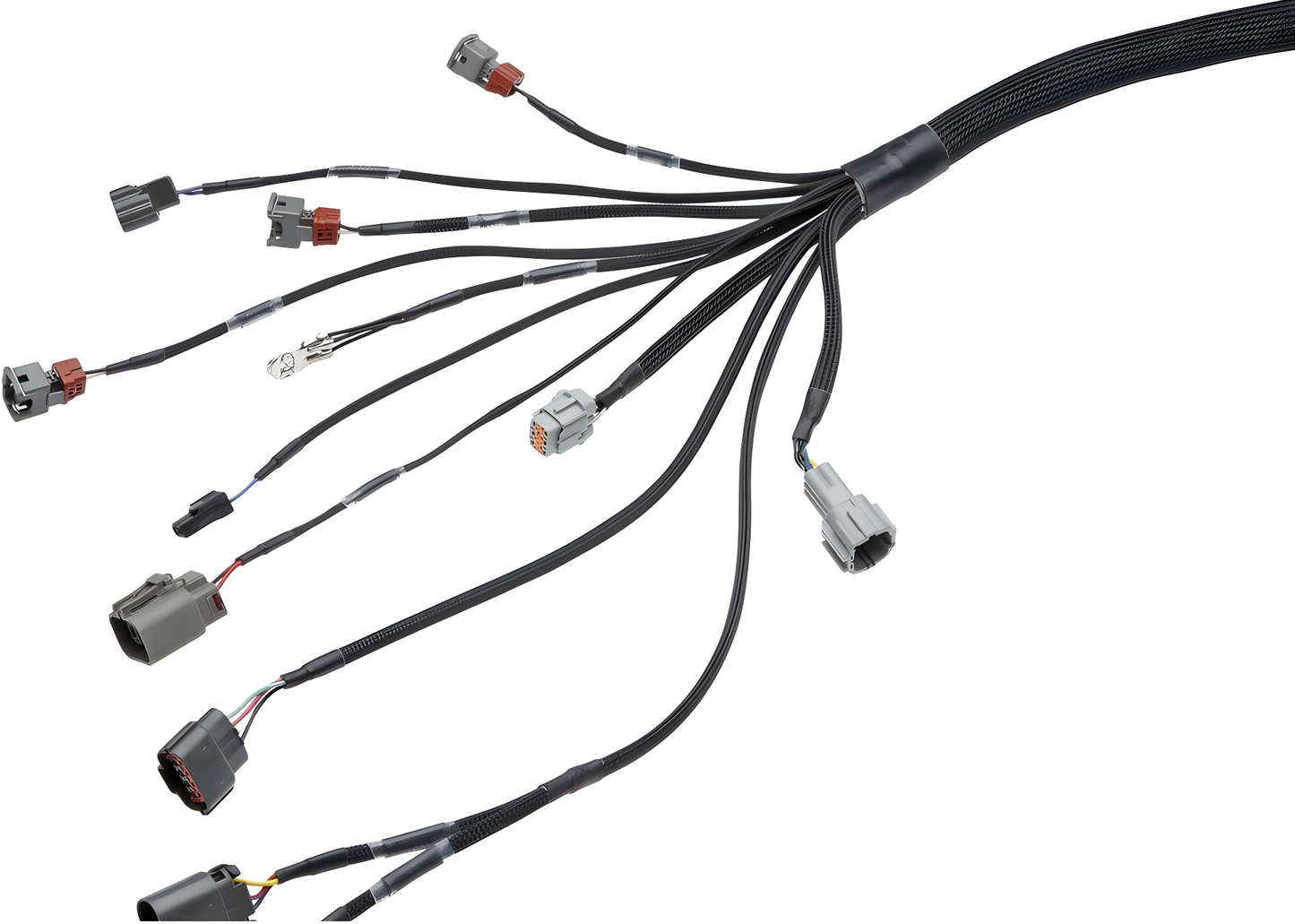 Wiring Specialties Wiring Gauge Detail - RB20DET PRO Series Harness for Mazda RX7 FD - WRS-PRORB20-RX7