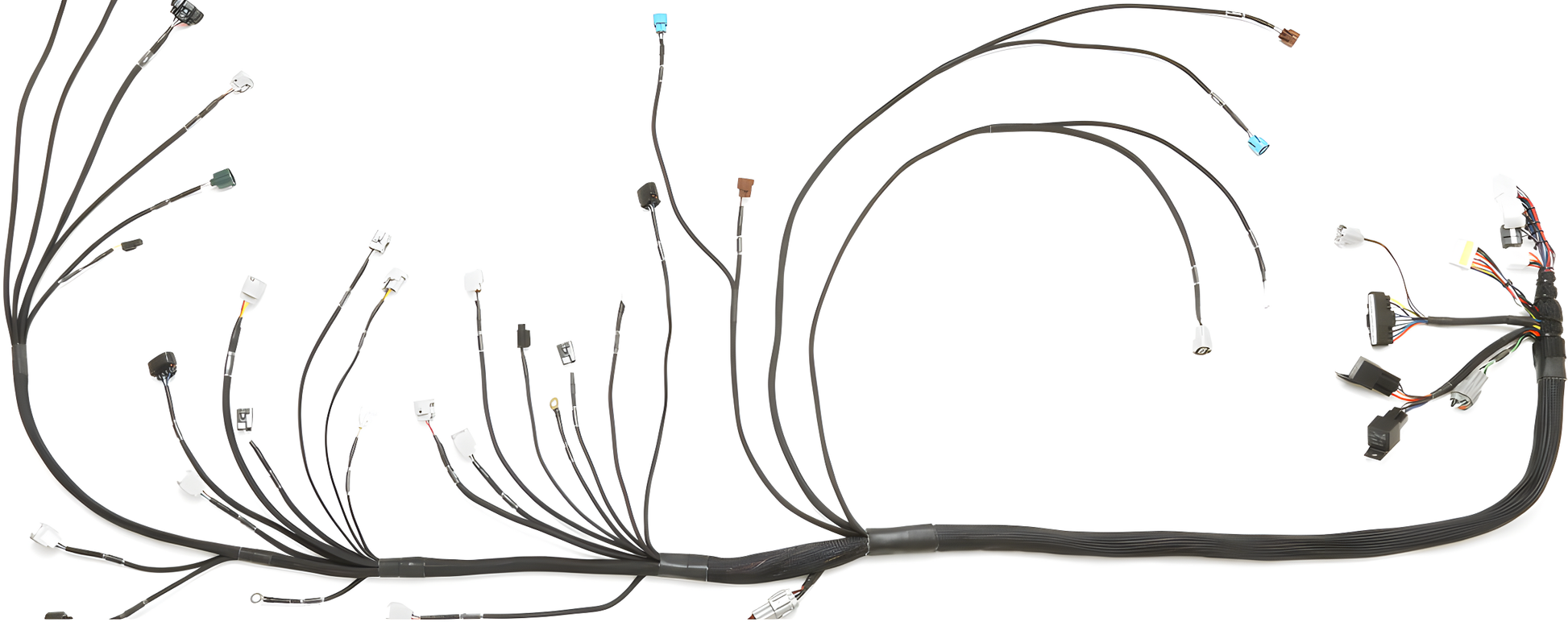 Wiring Specialties Wiring Gauge Detail - 2JZGTE/2JZGE VVTi PRO Series Harness for BMW E30 WRS-PRO2JZVVTI-E30