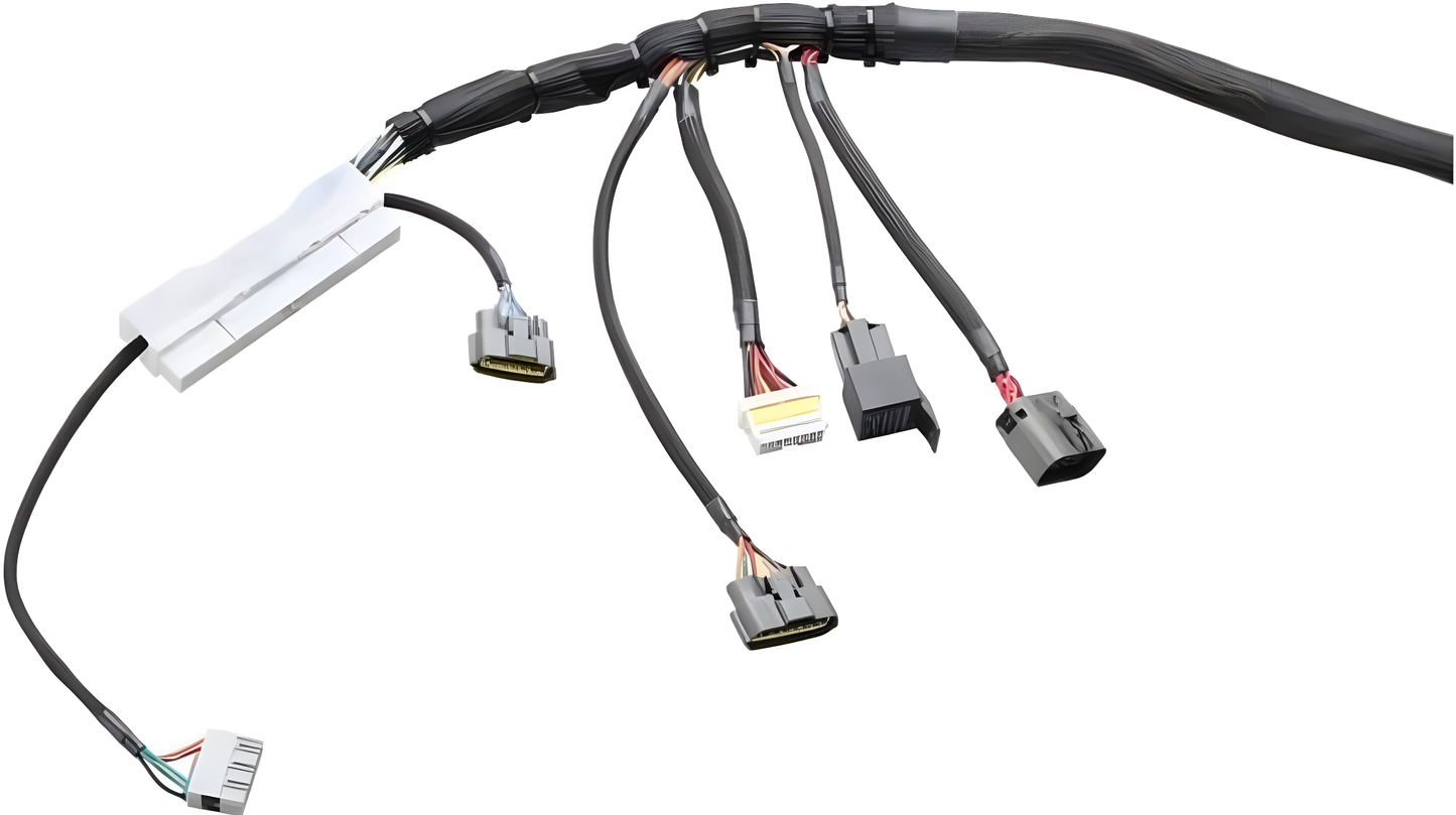 Wiring Specialties Wiring Gauge Detail - RB26DETT PRO Series Harness for S13 RHD Silvia / 180sx – WRS-PRORB26-S13RHD