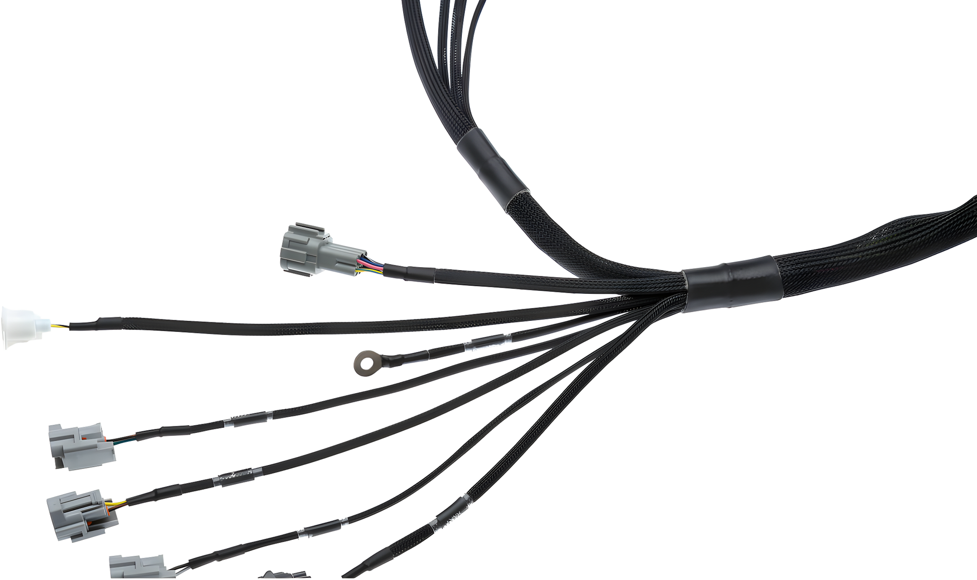 Wiring Specialties Wiring Gauge Detail - 1JZGTE VVTi Harness for 350Z PRO Series WRS-PRO1JZVVTI-350Z