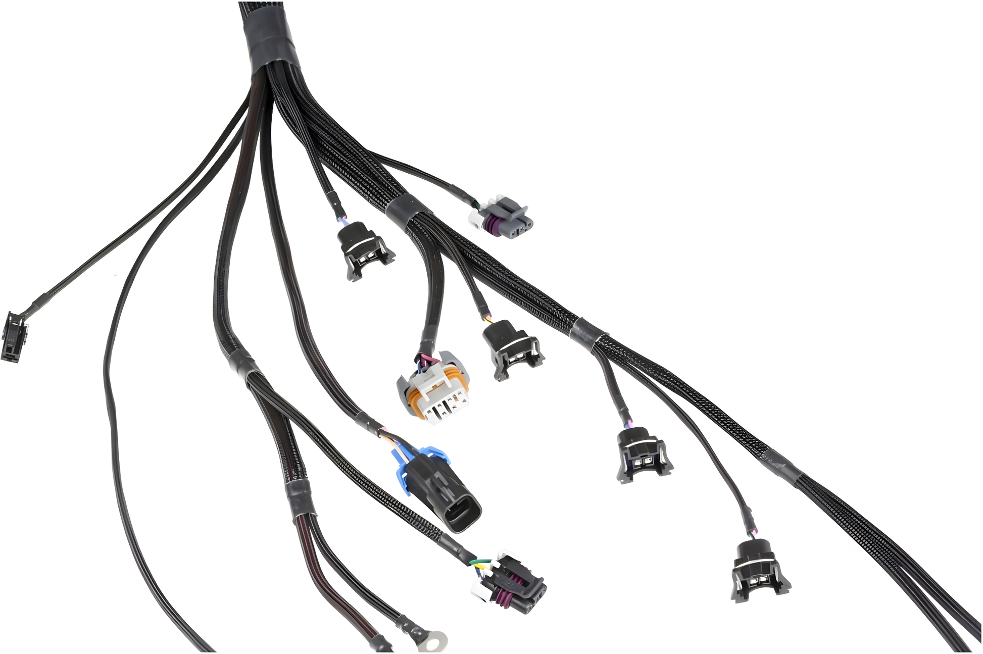 Wiring Specialties Wiring Gauge Detail - LS1 PRO Series Harness SIKKY Stage 3 Nissan S13 240sx Swap Kit WSP-SIKKY-S13