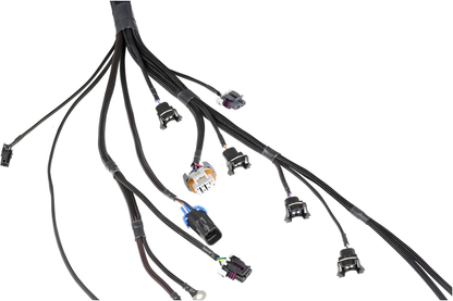 Wiring Specialties Wiring Gauge Detail - LS1 PRO Series Harness SIKKY Stage 3 Nissan S13 240sx Swap Kit WSP-SIKKY-S13
