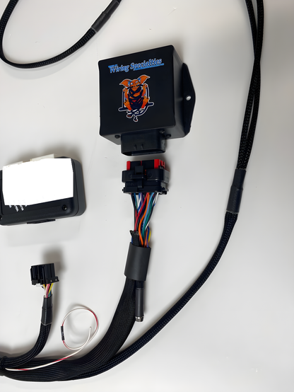 Wiring Specialties Wiring Gauge Detail - SR20DET PRO Series Harness for S13 WRS-PROS13SR20-FRS-BRZ