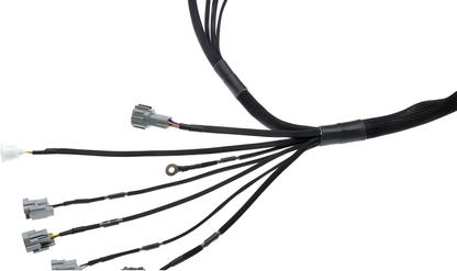 Wiring Specialties Wiring Gauge Detail - 1JZGTE VVTi ETCSi Wiring Harness for BMW E30 PRO Series WRS-PRO1JZVVTI-ETCSI-E30