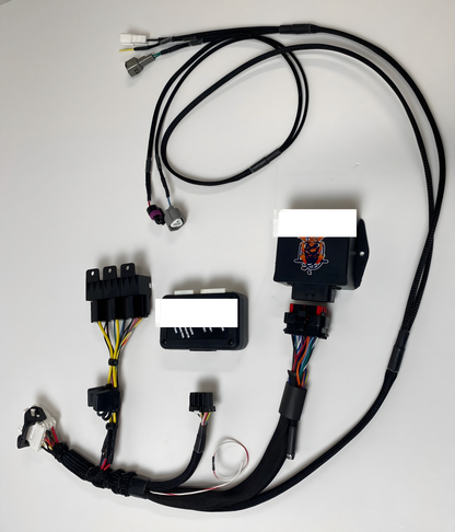 Wiring Specialties Wiring Gauge Detail - K24 PRO Series Harness for FRS/BRZ/GT86 WRS-PROK20K24-LINK-FRS-BRZ
