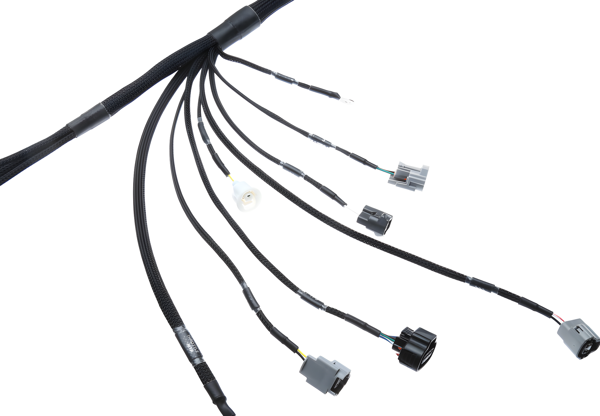 Wiring Specialties Wiring Gauge Detail - 2JZGTE / 2JZGE VVTi PRO Series Harness BMW E39 WRS-PRO2JZVVTI-E39