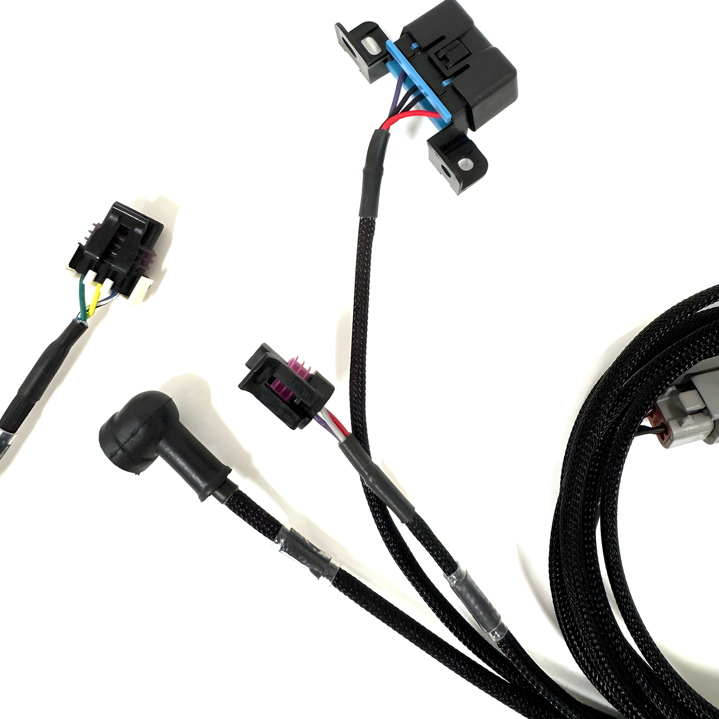 Wiring Specialties Wiring Gauge Detail - LS1 PRO Series Harness for BMW E46 – WRS-PROLS1-E46