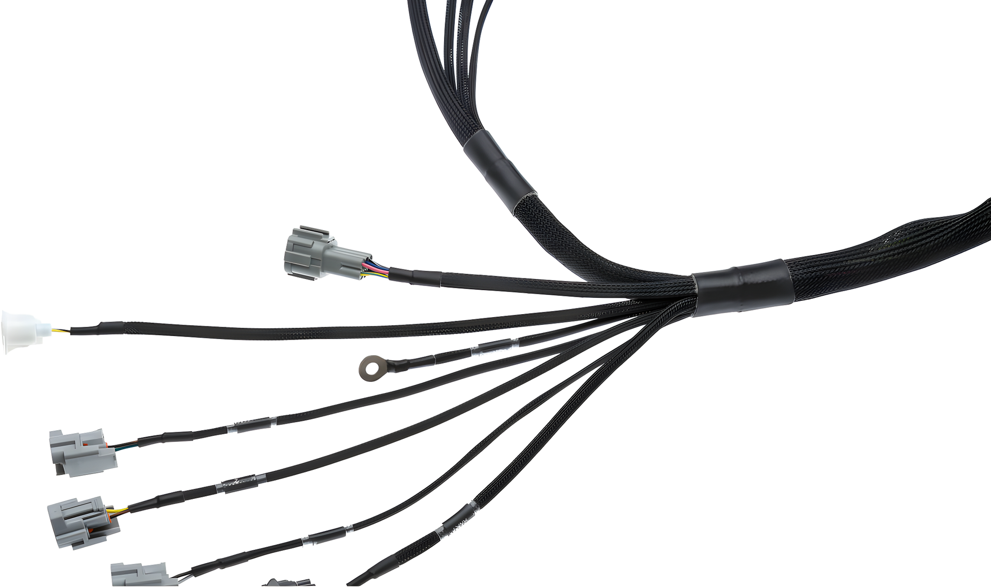 Wiring Specialties Wiring Gauge Detail - 1JZGTE VVTi Harness for BMW E39 PRO Series WRS-PRO1JZVVTI-E39