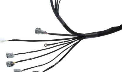 Wiring Specialties Wiring Gauge Detail - 1JZGTE VVTi Harness for BMW E39 PRO Series WRS-PRO1JZVVTI-E39