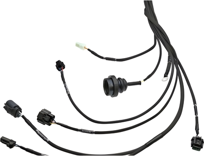 Wiring Specialties Wiring Gauge Detail - Standalone RB25DET NEO PRO Series Harness Universal WRS-PRORB25NEO-UNI