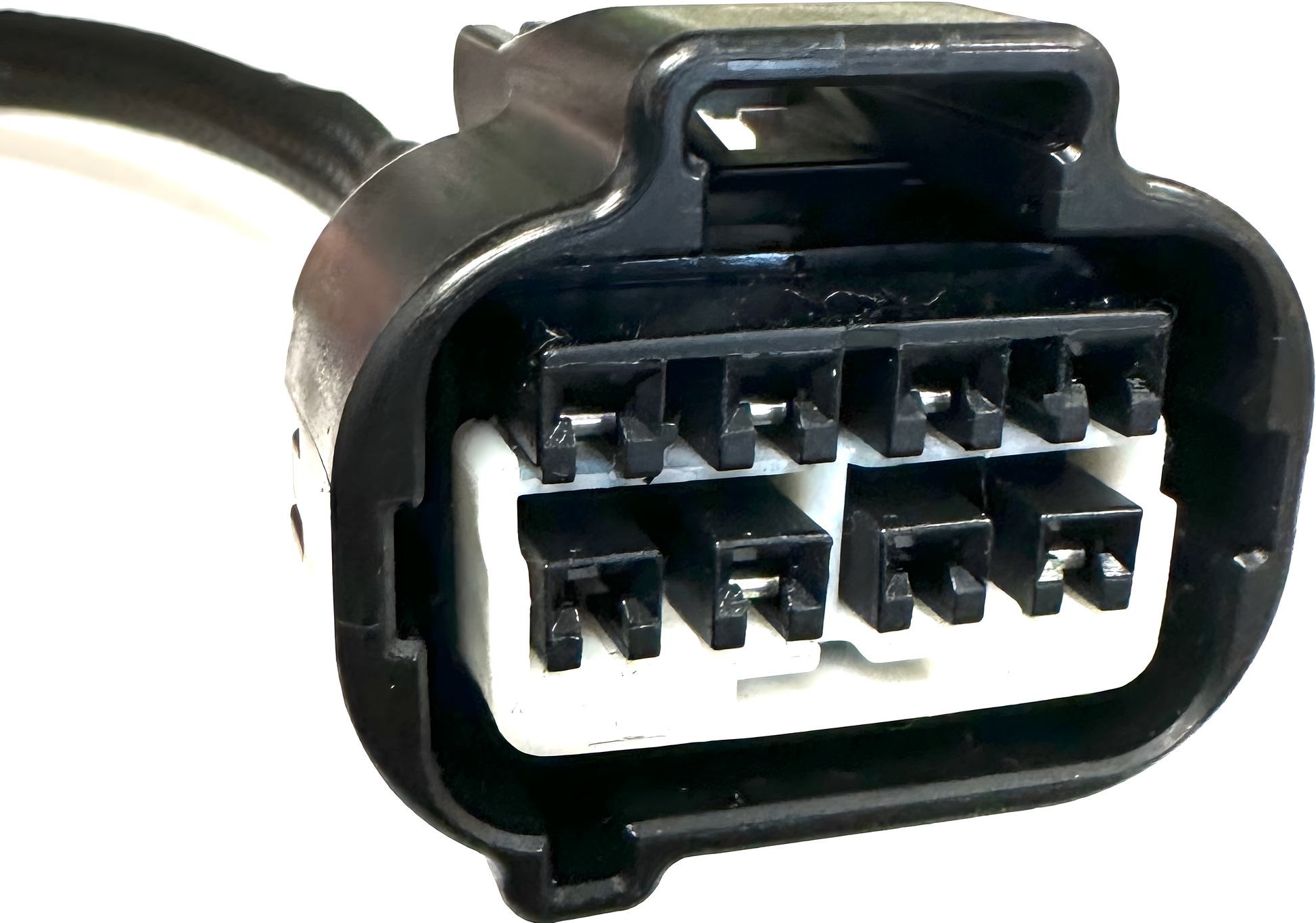 Wiring Specialties WRS-JZFBX8-JZA Main Product Photo