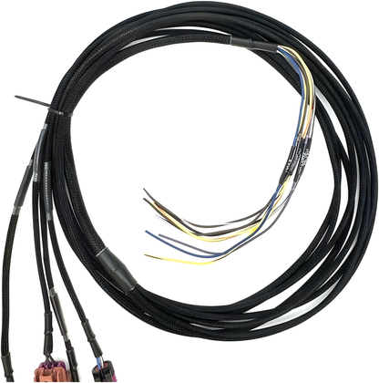 Wiring Specialties WRS-PNP-SENSOR Main Product Photo
