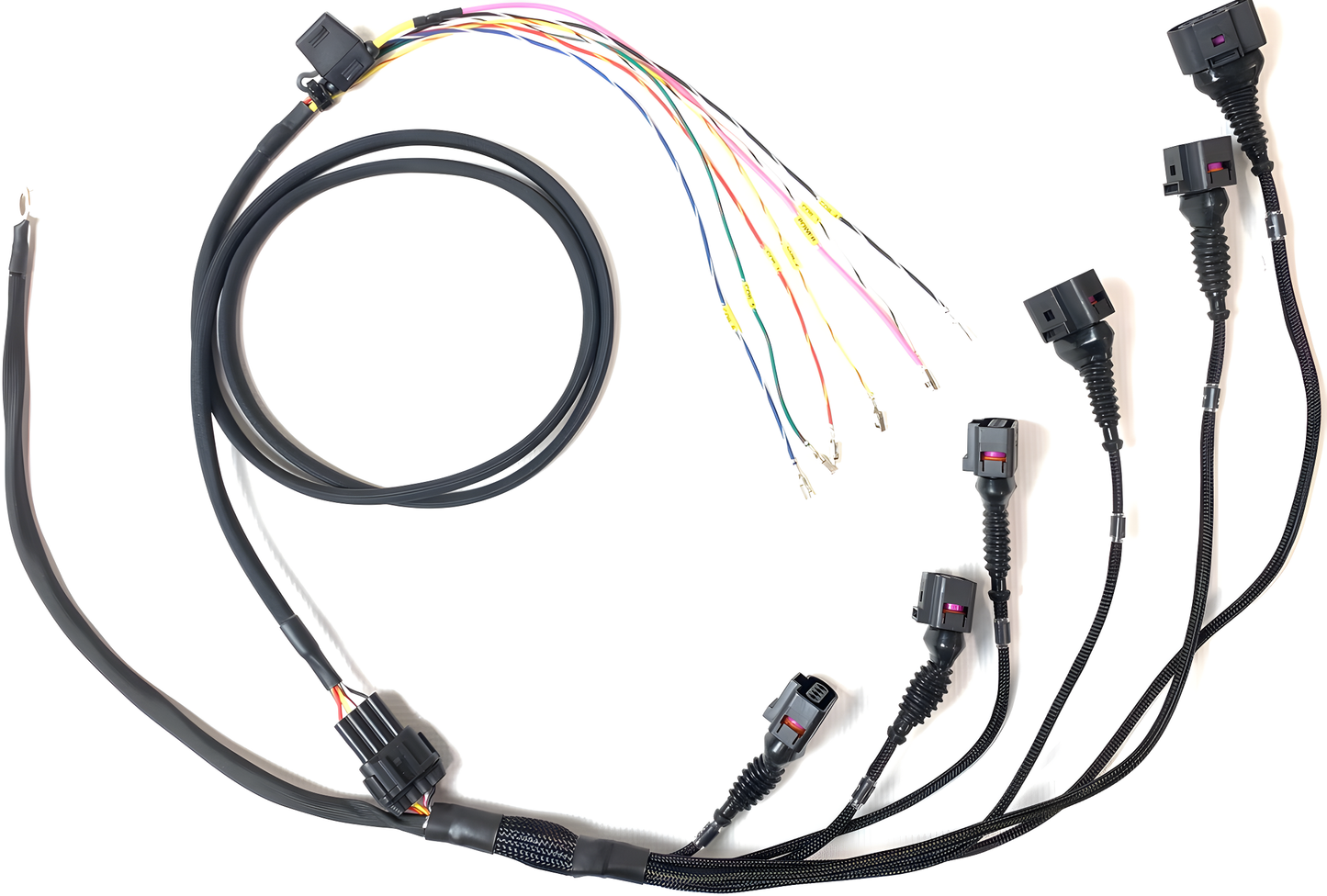 Wiring Specialties WRS-PRO-JZVVTI-CPH-R8 Main Product Photo