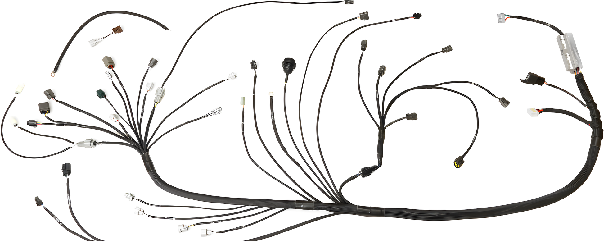 Wiring Specialties WRS-PRO-RB25NEO-E30 Main Product Photo
