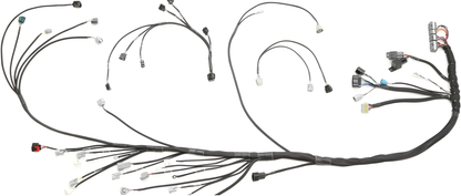 Wiring Specialties WRS-PRO1JZ-E46 Main Product Photo