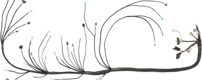 Wiring Specialties WRS-PRO1JZVVTI-ETCSI-350Z Main Product Photo