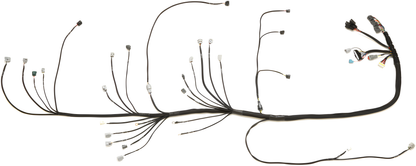 Wiring Specialties WRS-PRO1JZVVTI-Z32 Main Product Photo