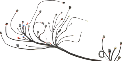 Wiring Specialties WRS-PROCA18-DAT Main Product Photo