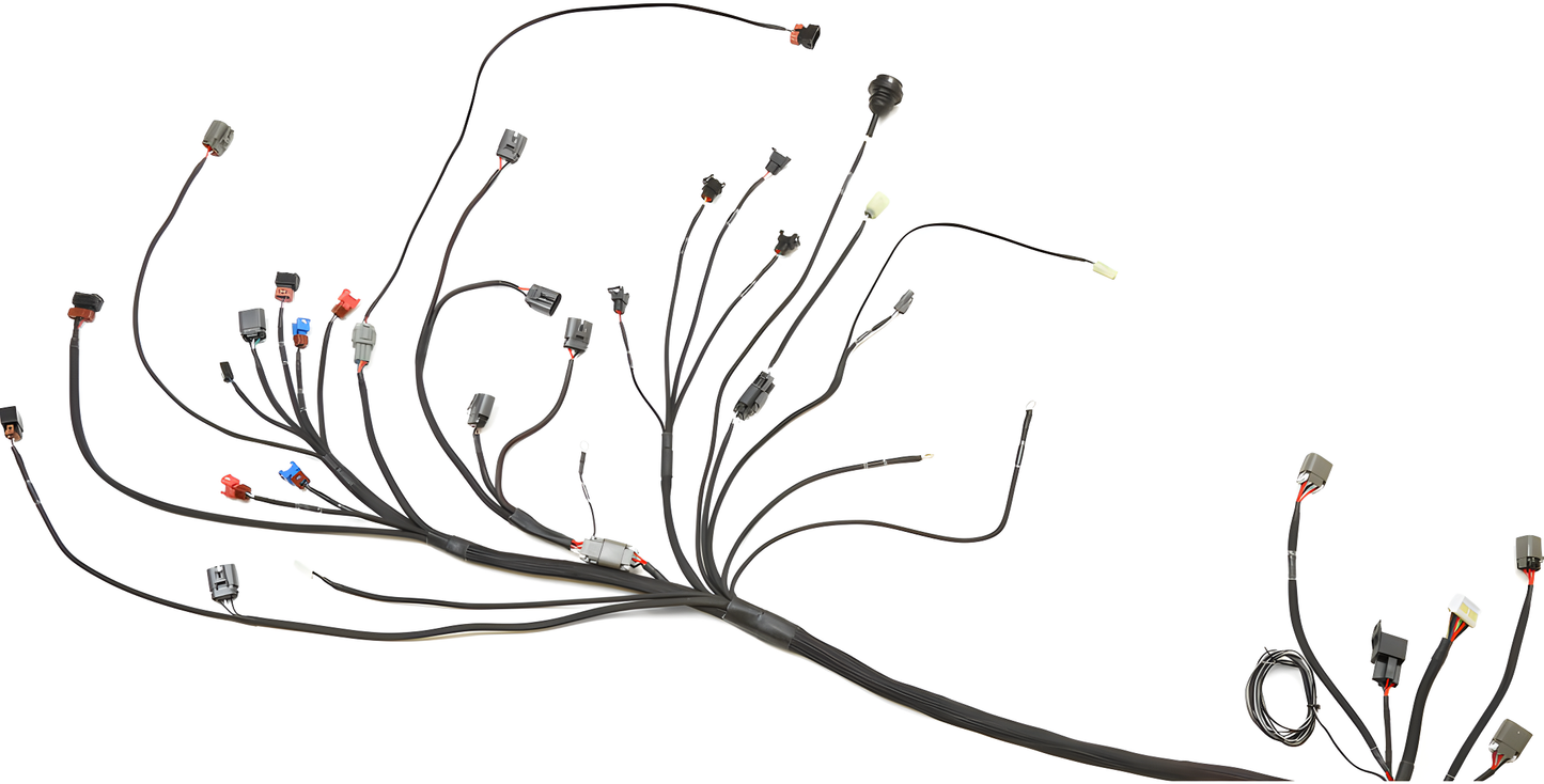 Wiring Specialties WRS-PROCA18-S13RHD Main Product Photo