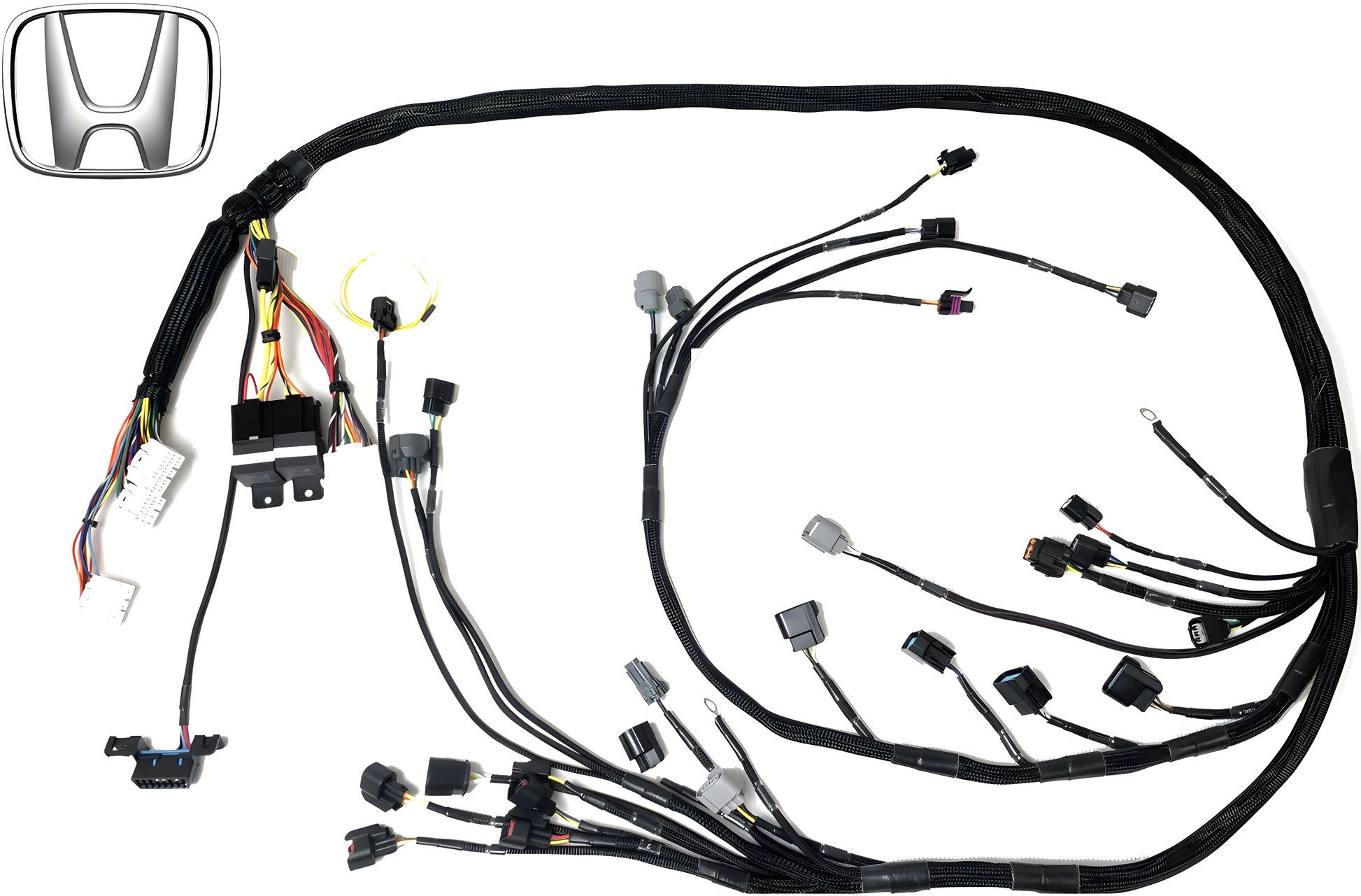 Wiring Specialties WRS-PROK20K24-E30 Main Product Photo