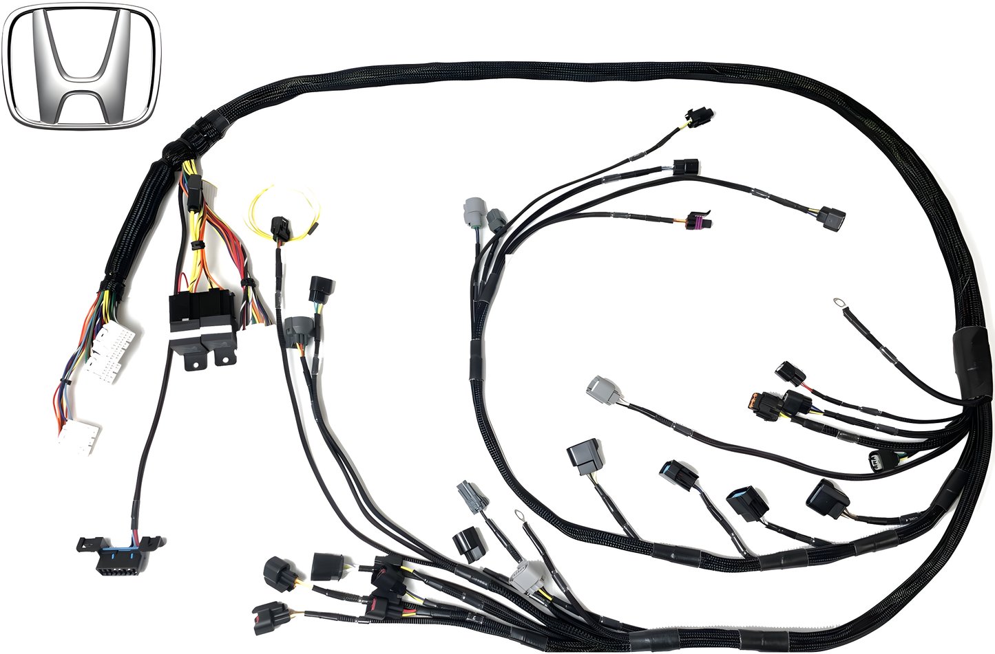 Wiring Specialties WRS-PROK20K24-E46 Main Product Photo