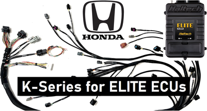 Wiring Specialties WRS-PROK20K24-HAL-E46 Main Product Photo