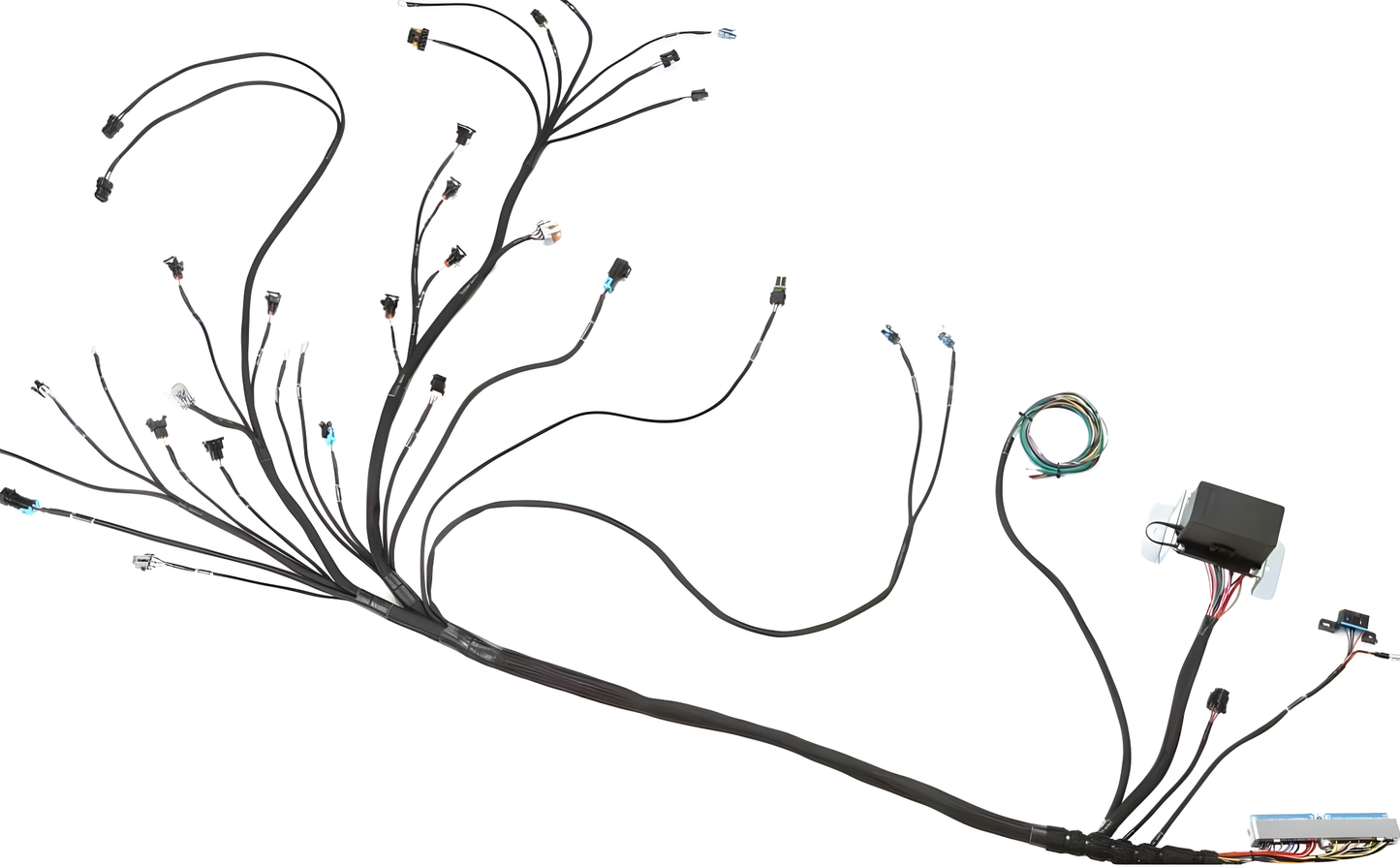 Wiring Specialties WRS-PROLS1-DAT Main Product Photo
