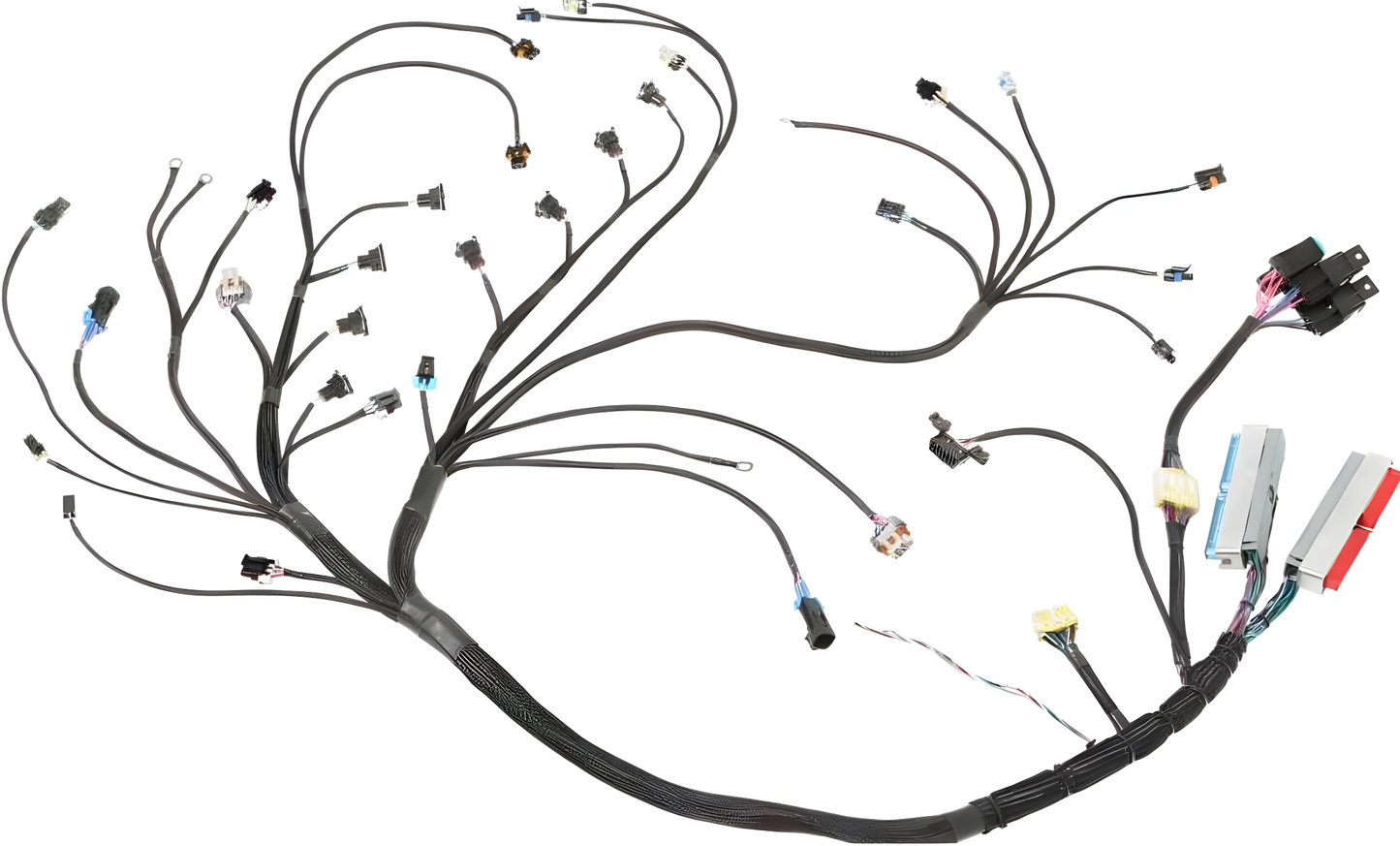Wiring Specialties WRS-PROLS1-E30 Main Product Photo