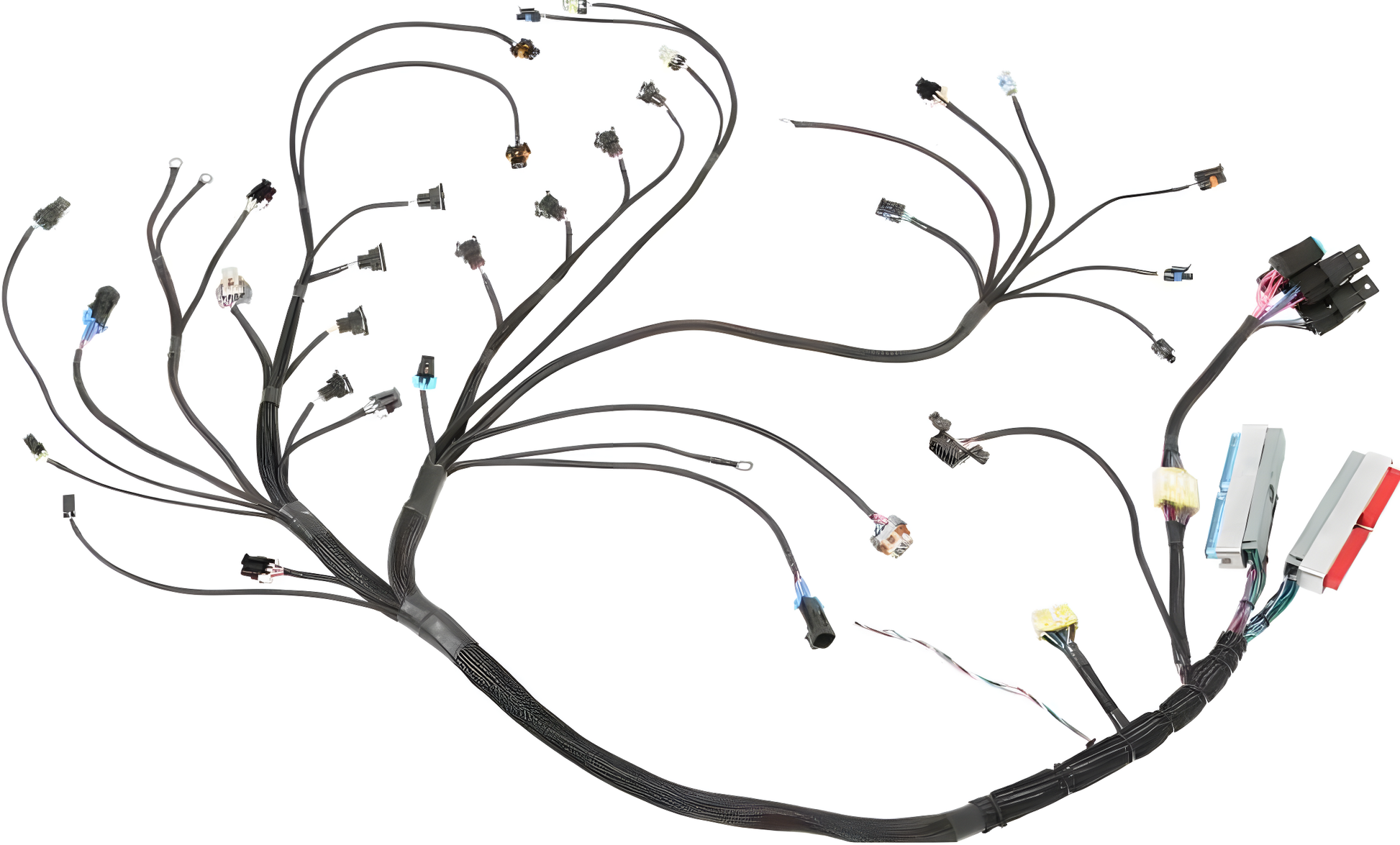 Wiring Specialties WRS-PROLS1-E30 Main Product Photo