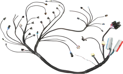 Wiring Specialties WRS-PROLS1-E36 Main Product Photo