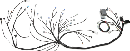 Wiring Specialties WRS-PROLS3-DAT Main Product Photo