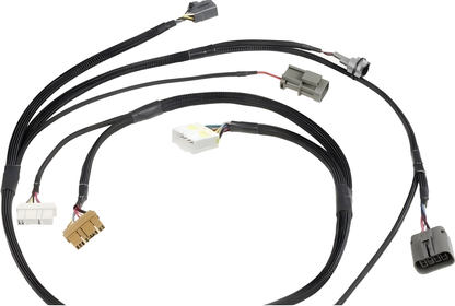 Wiring Specialties WRS-PRORB20-S13 Main Product Photo