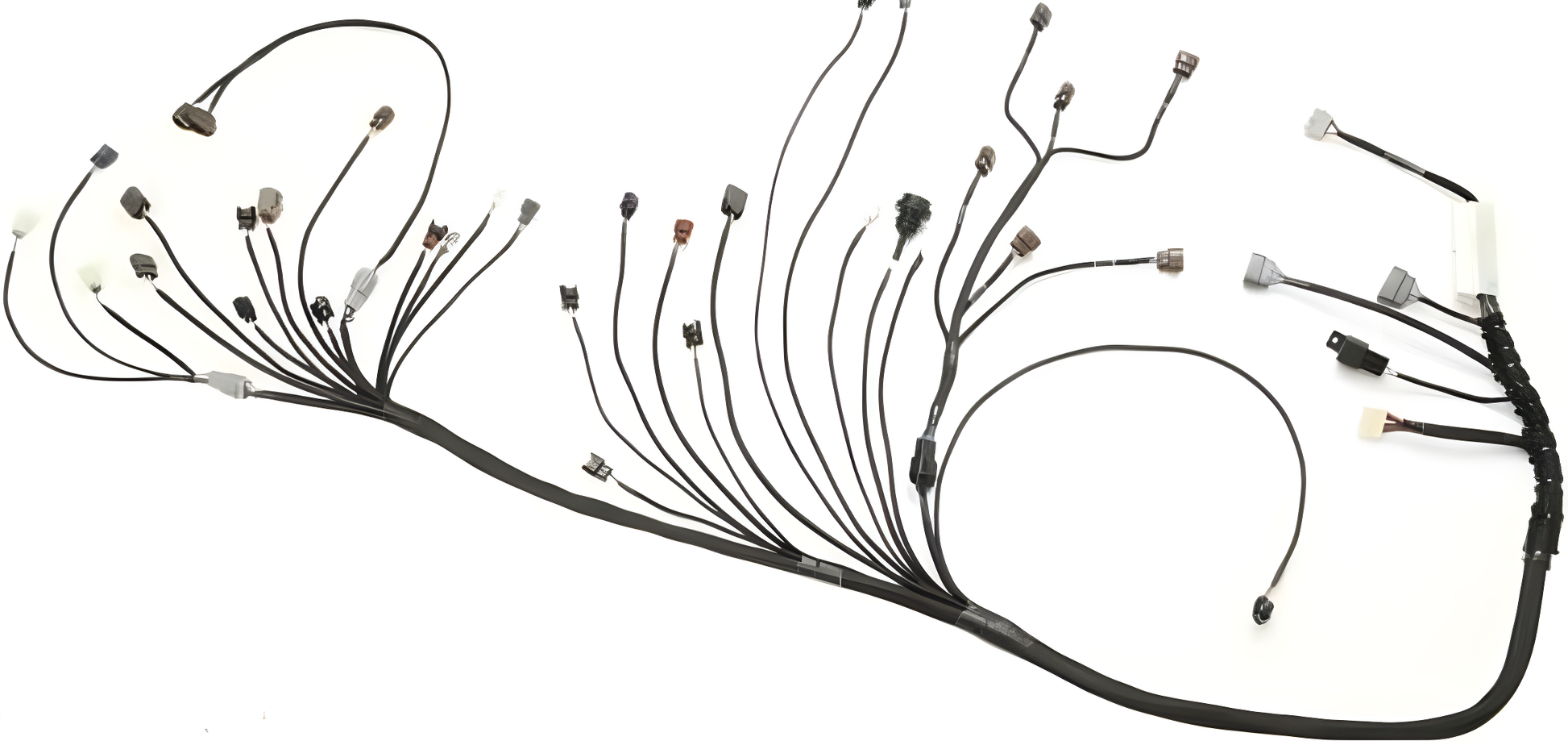 Wiring Specialties WRS-PRORB25-DAT Main Product Photo