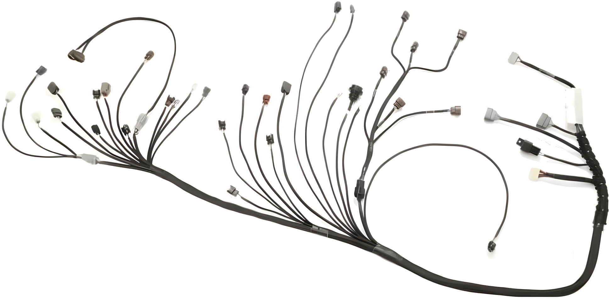 Wiring Specialties WRS-PRORB25-E36 Main Product Photo