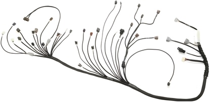 Wiring Specialties WRS-PRORB25-E36 Main Product Photo