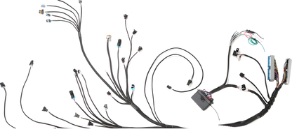 Wiring Specialties WRS-PRORB25-E46 Main Product Photo