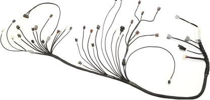 Wiring Specialties WRS-PRORB25-S13 Main Product Photo