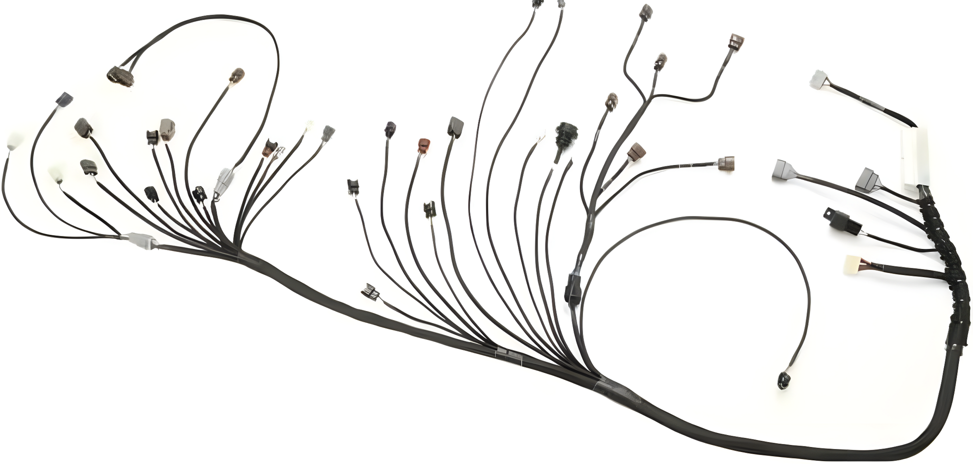 Wiring Specialties WRS-PRORB25-UNI Main Product Photo