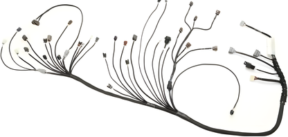 Wiring Specialties WRS-PRORB25-UNI Main Product Photo