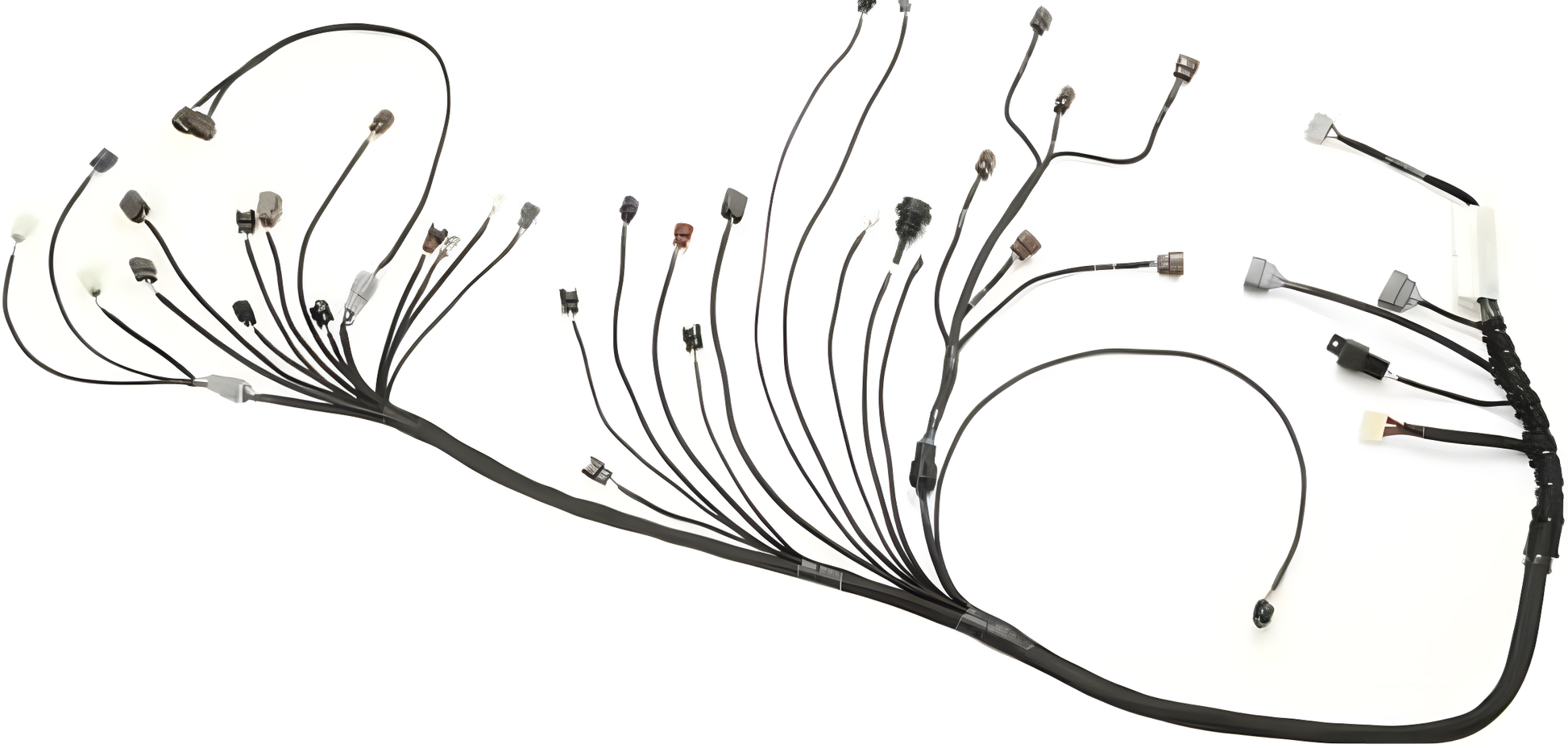 Wiring Specialties WRS-PRORB25-Z32 Main Product Photo