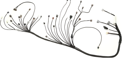 Wiring Specialties WRS-PRORB25-Z32 Main Product Photo