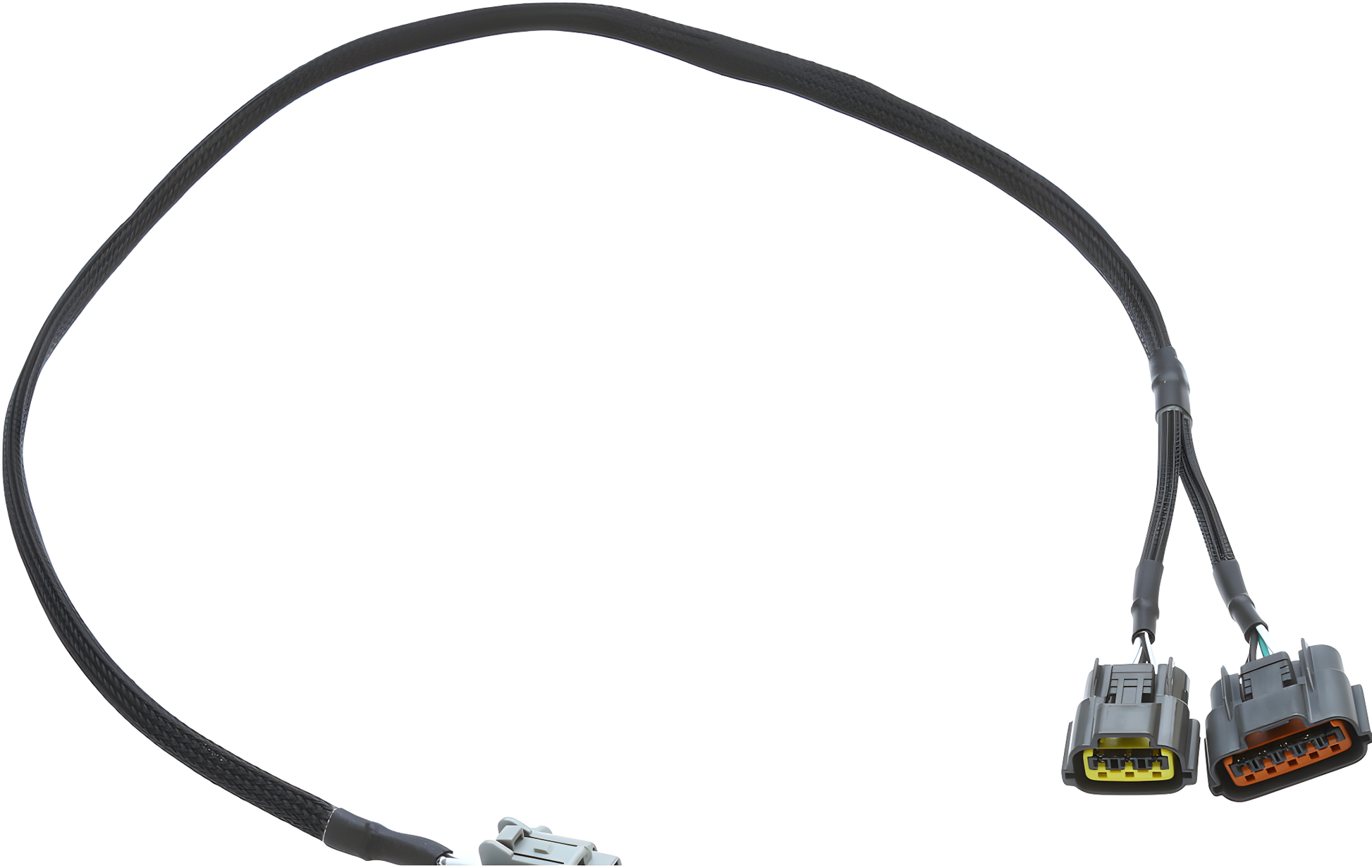 Wiring Specialties WRS-PRORB25DUAL-MAFS Main Product Photo