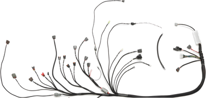 Wiring Specialties WRS-PROS13SR20-C33 Main Product Photo
