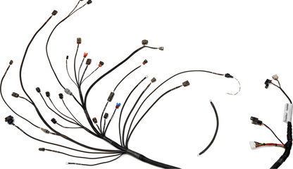 Wiring Specialties WRS-PROS14KA24-S14 Main Product Photo