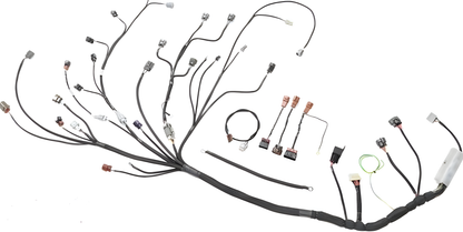 Wiring Specialties WRS-PROS14SR20-DAT Main Product Photo
