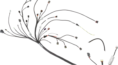 Wiring Specialties WRS-PROS15SR20-E30 Main Product Photo